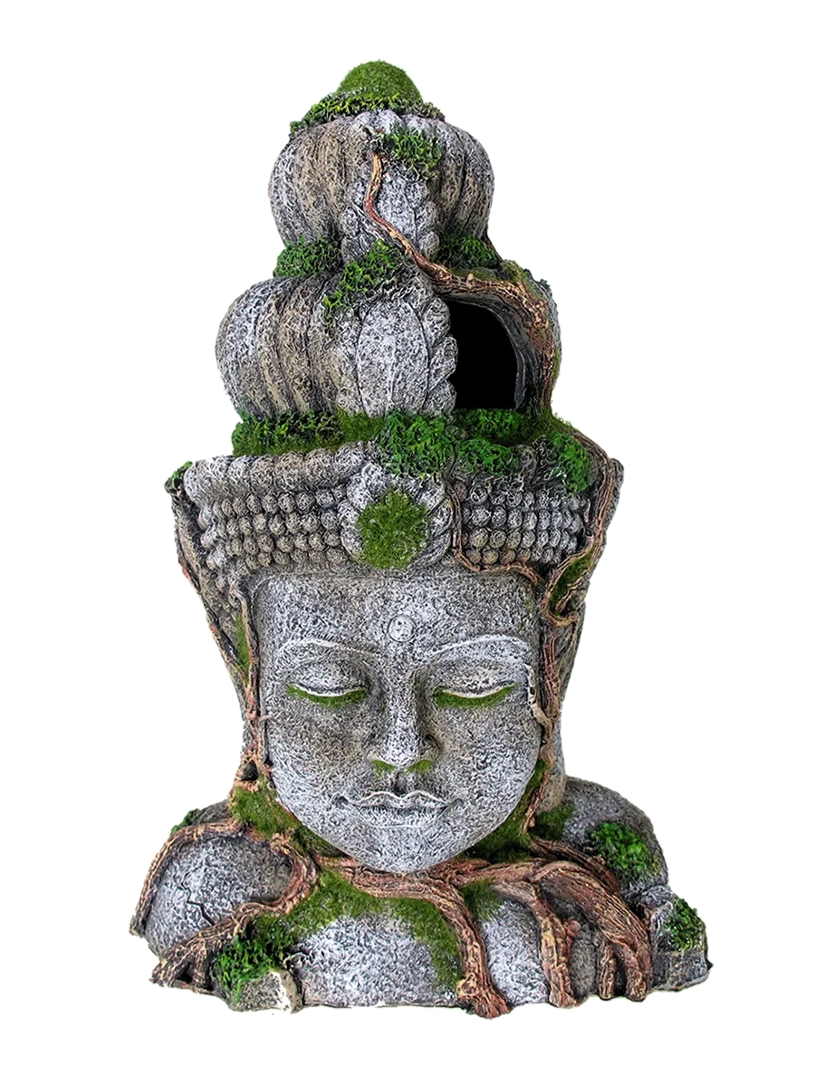 Aquamate - Ornament Asian Theme